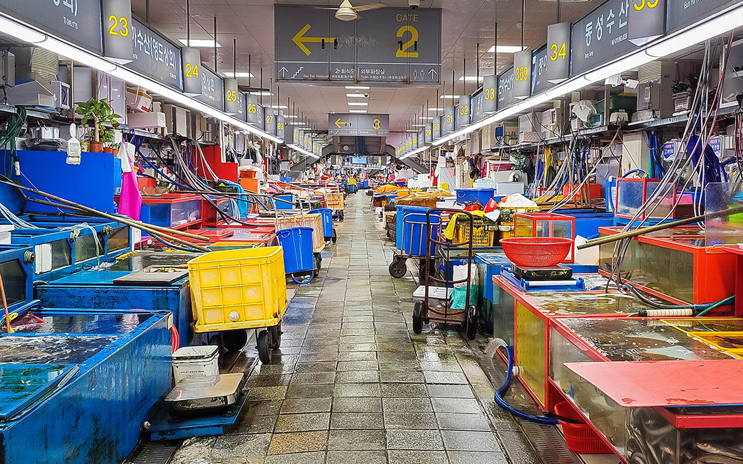 Marché Jagalchi à Busan - Guide de voyage Corée du sud - Projet Corée