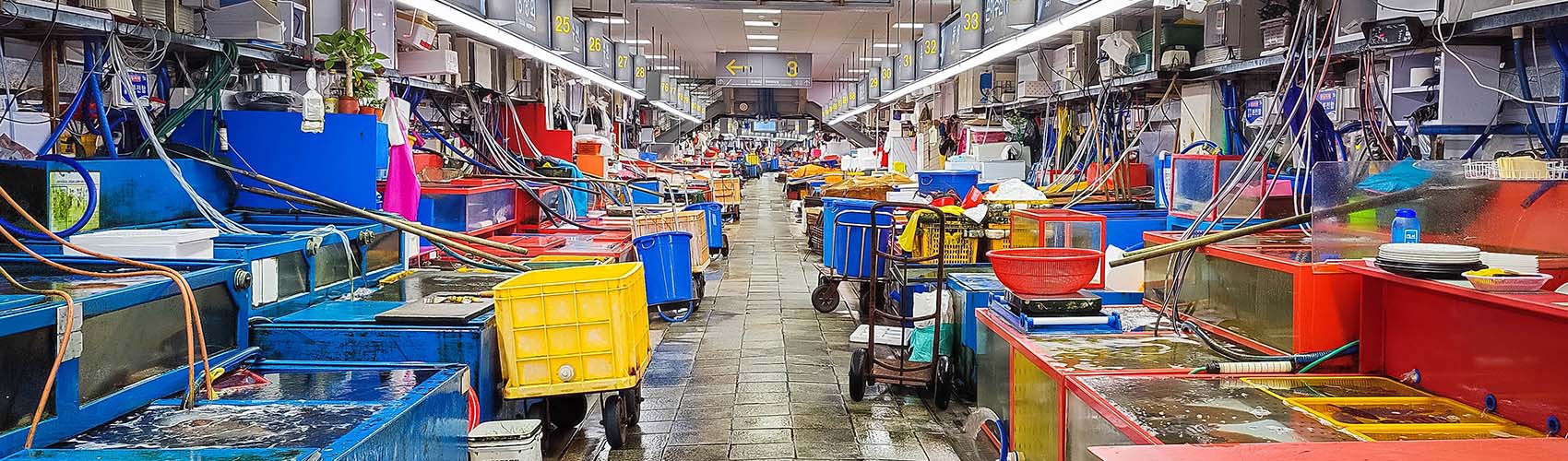 Le marché Jagalchi à Busan en Corée du sud